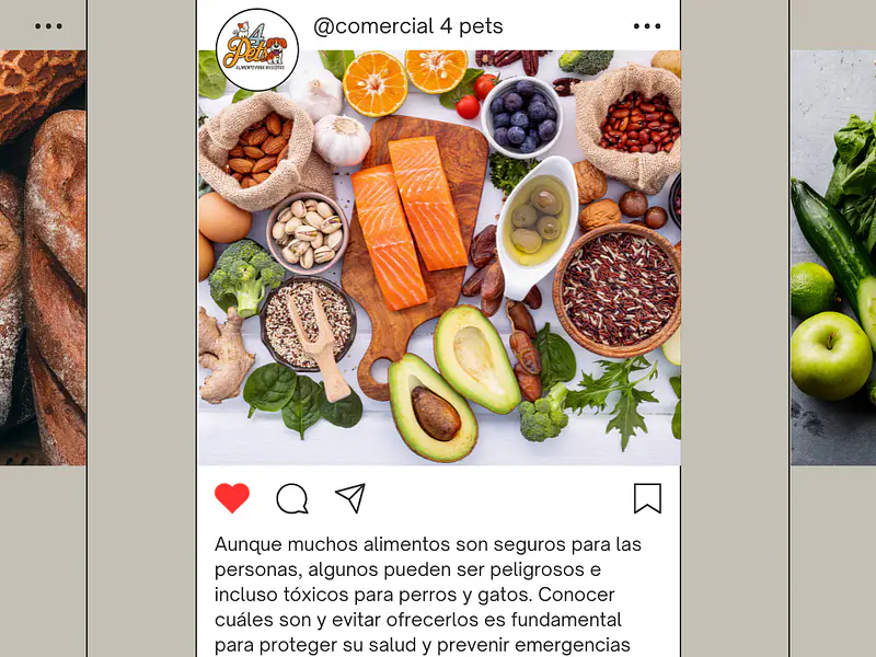 10 Alimentos prohibidos para perros y gatos: lo que nunca debes darles