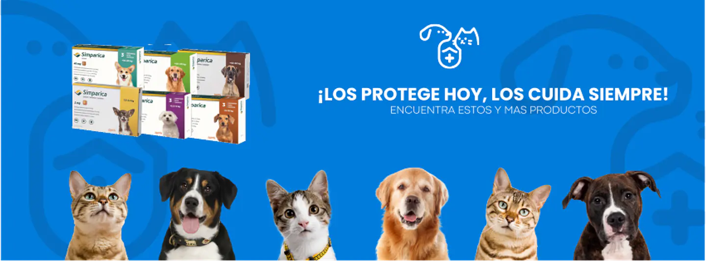 Tu tienda de mascotas de confianza para mimar a tu mejor amigo
