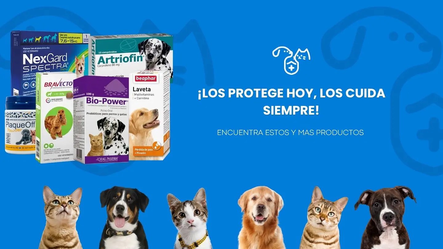 Tu tienda de mascotas de confianza para mimar a tu mejor amigo