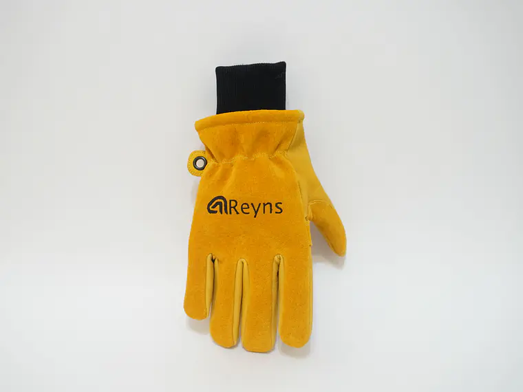 Vector Guantes 2
