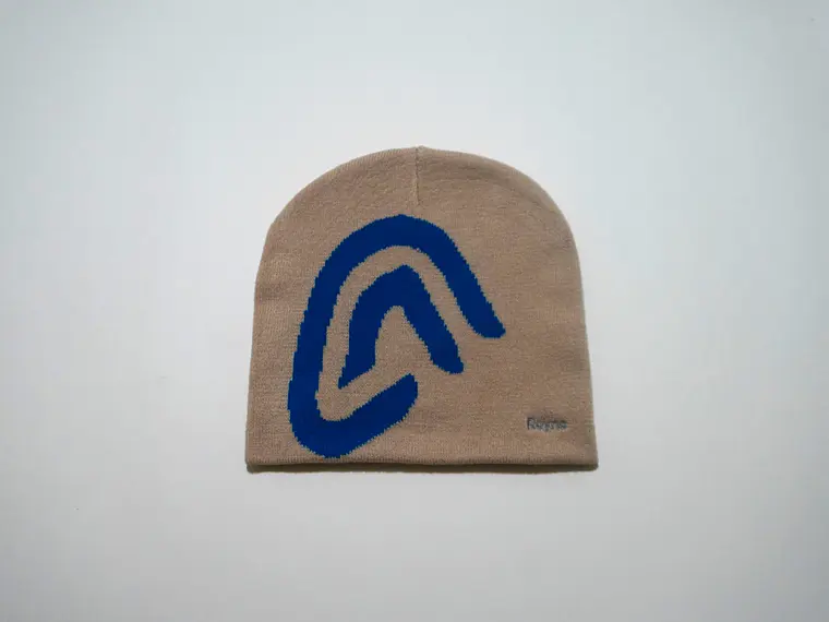 Flux Beanie 1