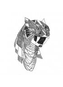 INDIGO AREA - II THE FUNK - USADO - VG+