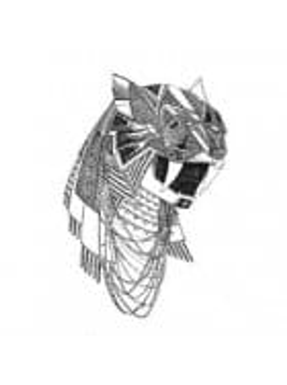 INDIGO AREA - II THE FUNK - USADO - VG+