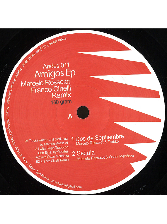 Marcelo Rosselot - AMIGOS