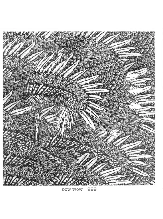 Pow Wow  – 999 - USADO - VG+