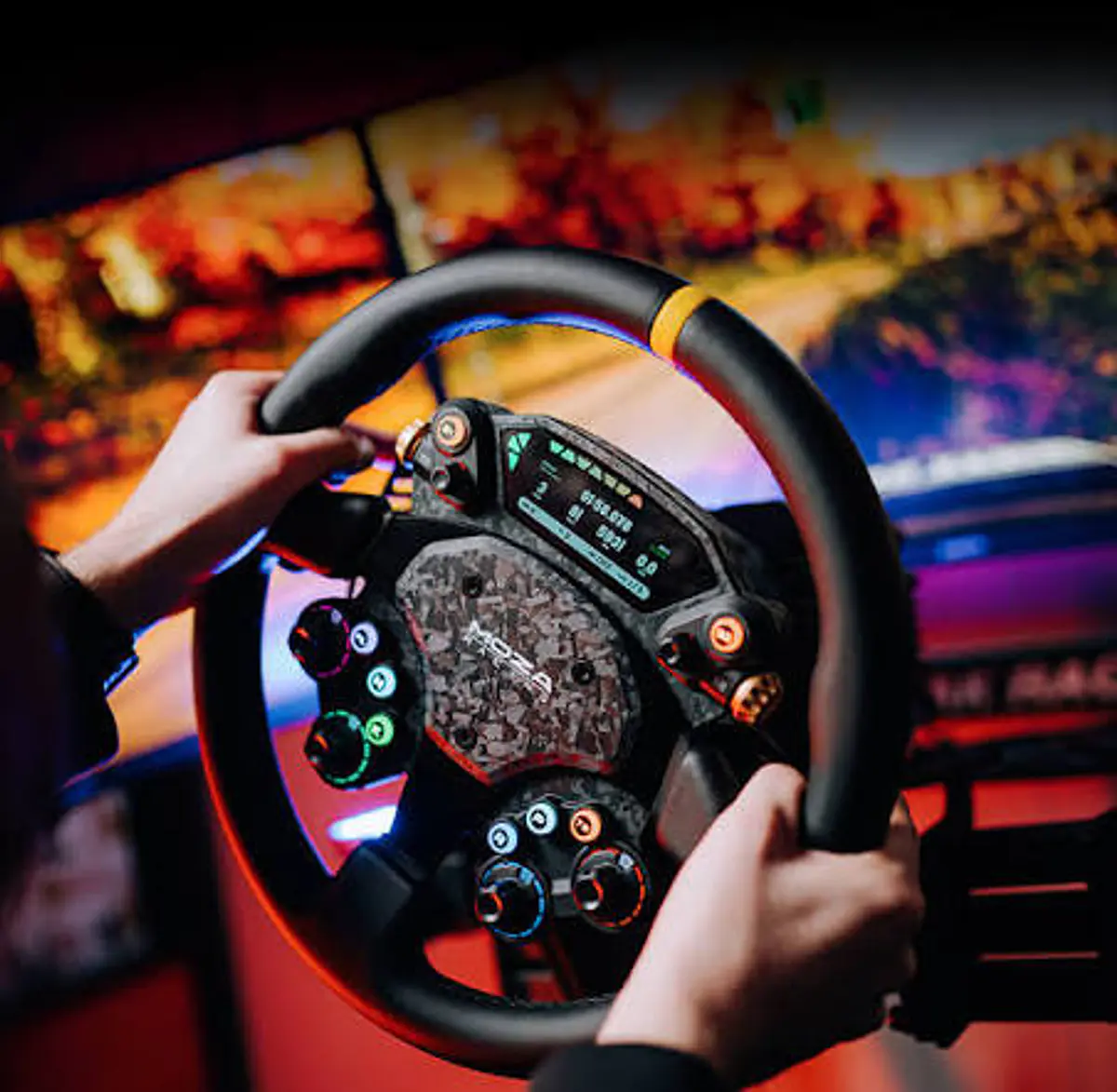Sim Racing