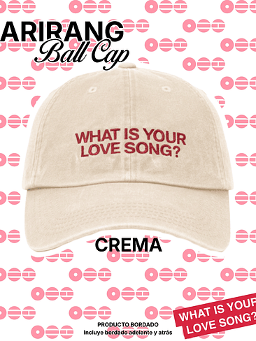 BTS Arirang Ball Cap - Jockey Bordado PRODUCTO FANMADE 4