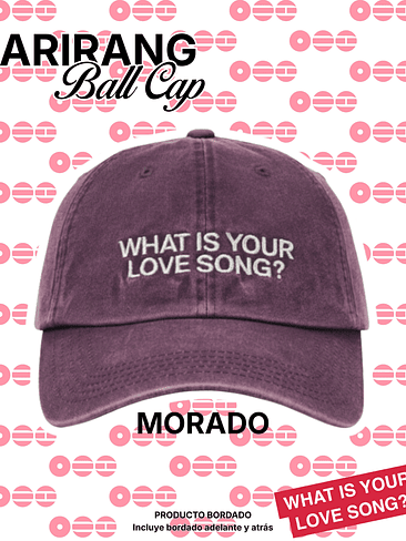 BTS Arirang Ball Cap - Jockey Bordado PRODUCTO FANMADE 3