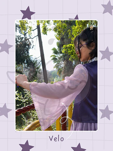 Hanbok / Jeogori Moderno - Morado 3