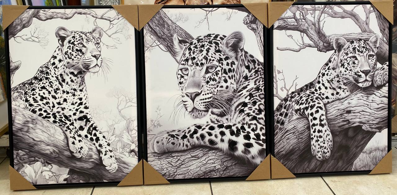 CUADRO TRIPTICO PUMA C/MARCO 8