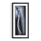 Elefante  Vertical 2