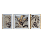 Cuadro Tríptico Hojas  2