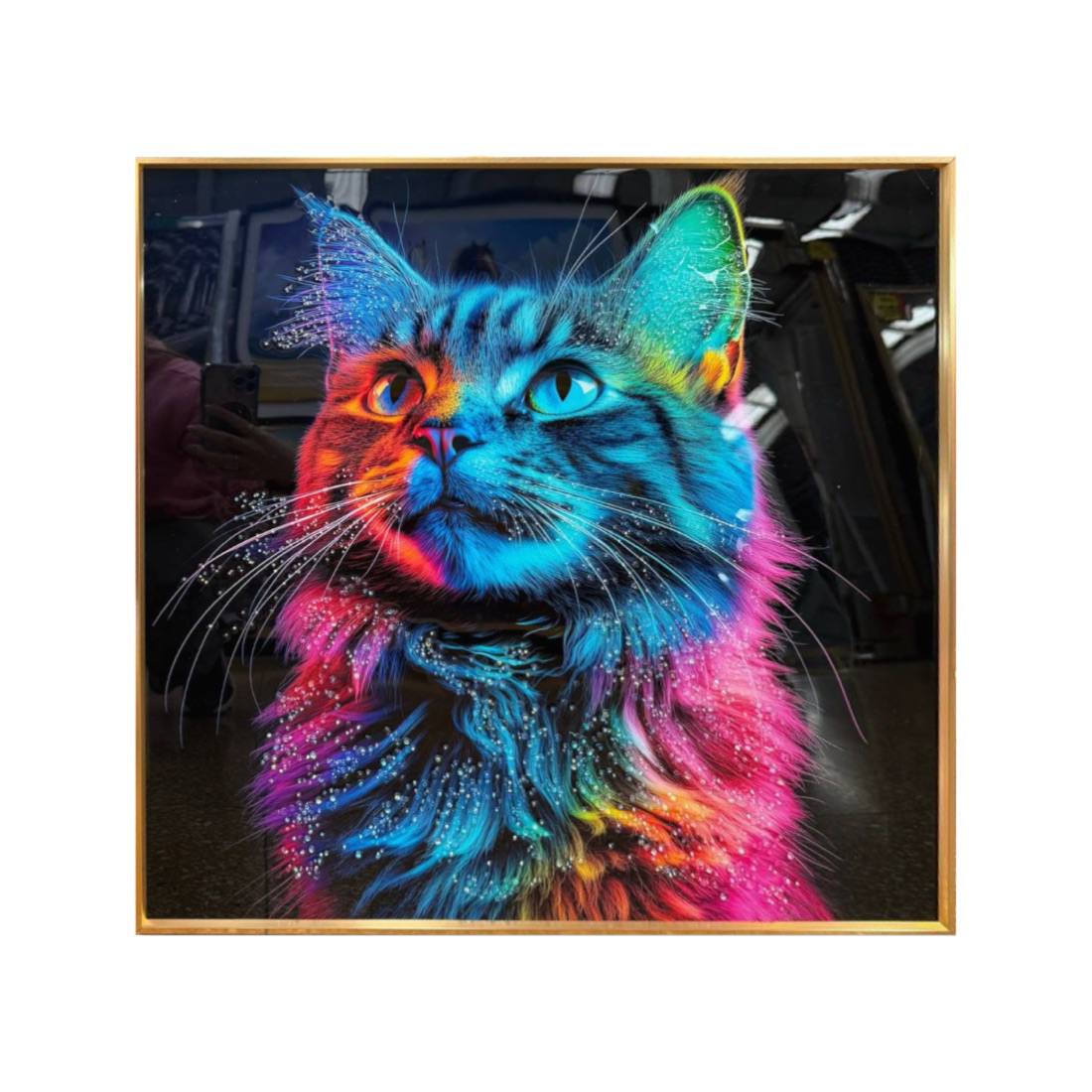 CUADRO GATO GALÁCTICO 3