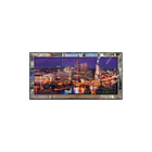 CUADRO SKYLINE DE PITTSBURGH 3