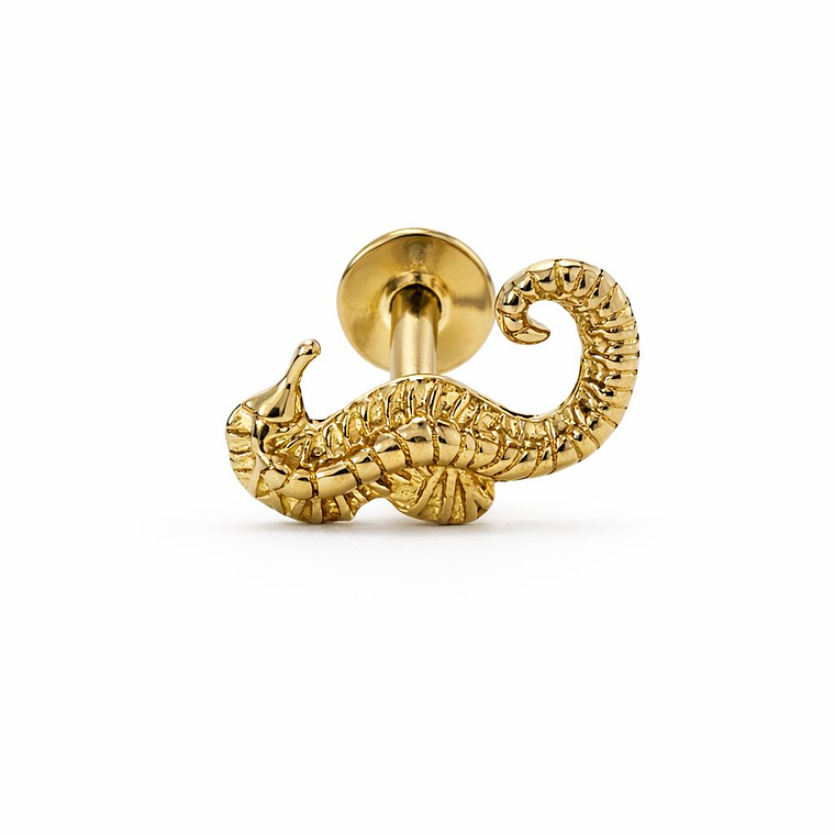 Labret Golden Seahorse – Oro Sólido 14K 1