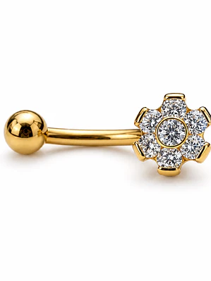 Golden Daisy
