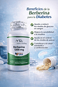 Berberina 1200 Mg Mountain Valley 100 Cápsulas - Miniatura 2