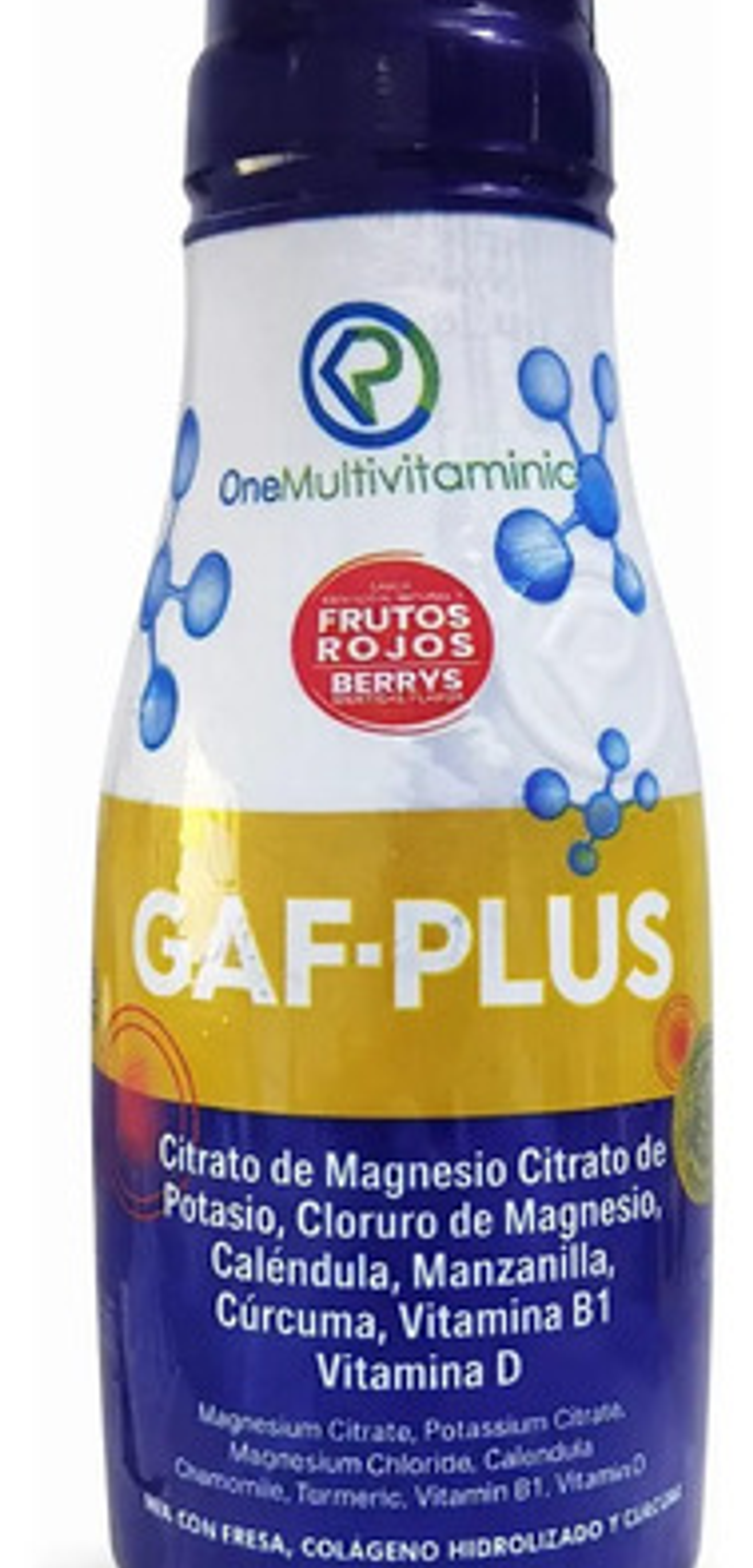 Gaf-plus X300 Ml Onemultivitaminic 1