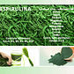 Espirulina Micro Alga 1000mg- Invima Sabor - Miniatura 2