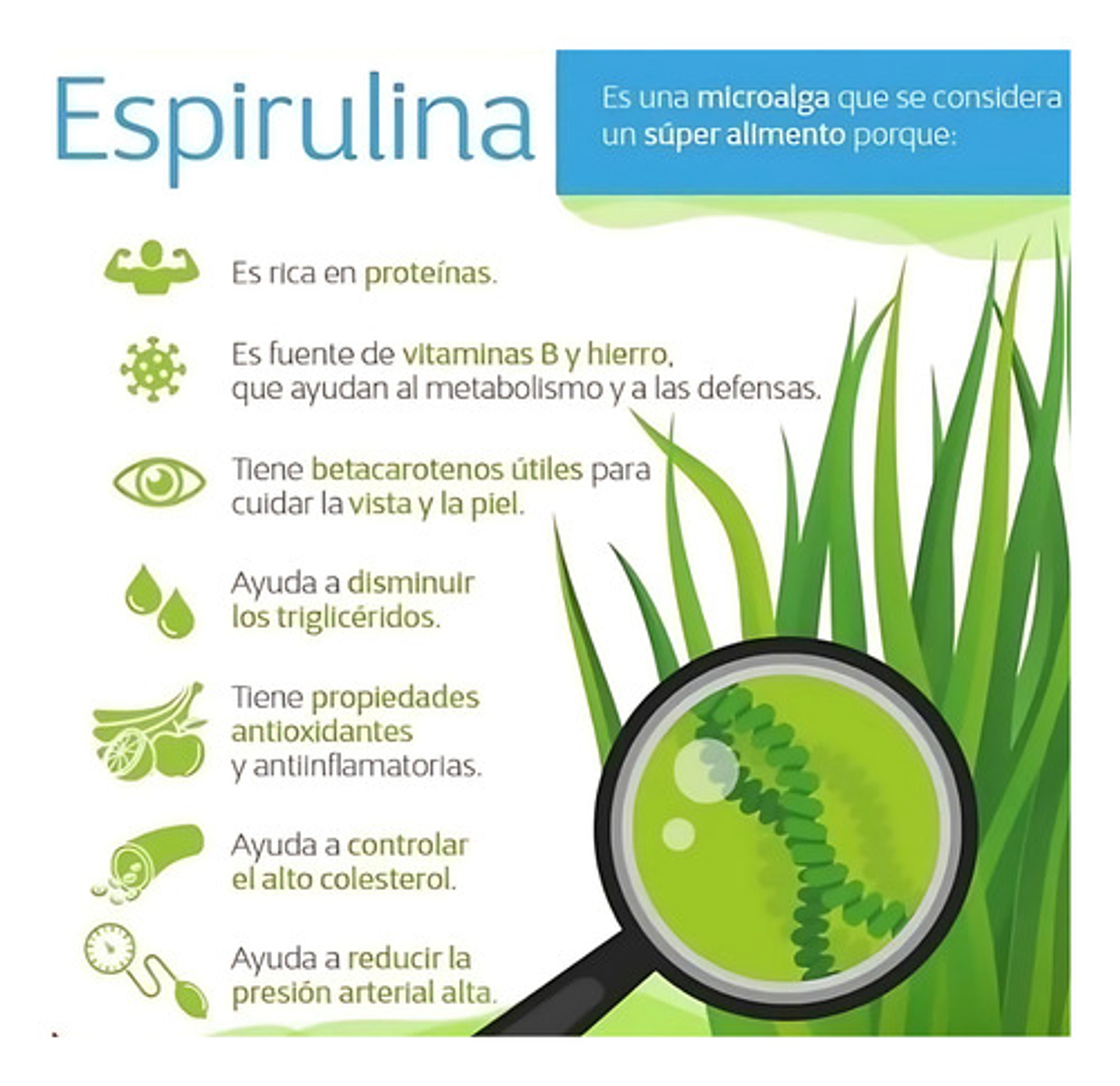 Espirulina Micro Alga 1000mg- Invima Sabor 5