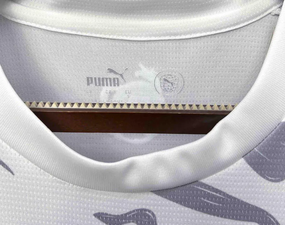Camisola Manchester City Edição Especial 24/25 4