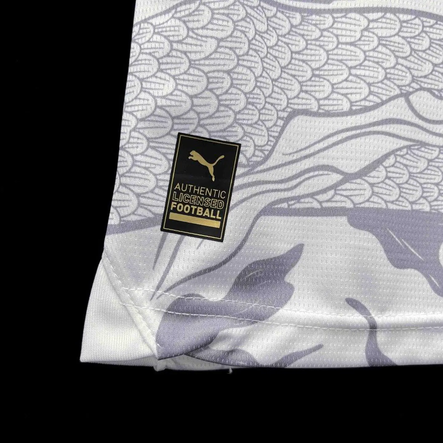Camisola Manchester City Edição Especial 24/25 6
