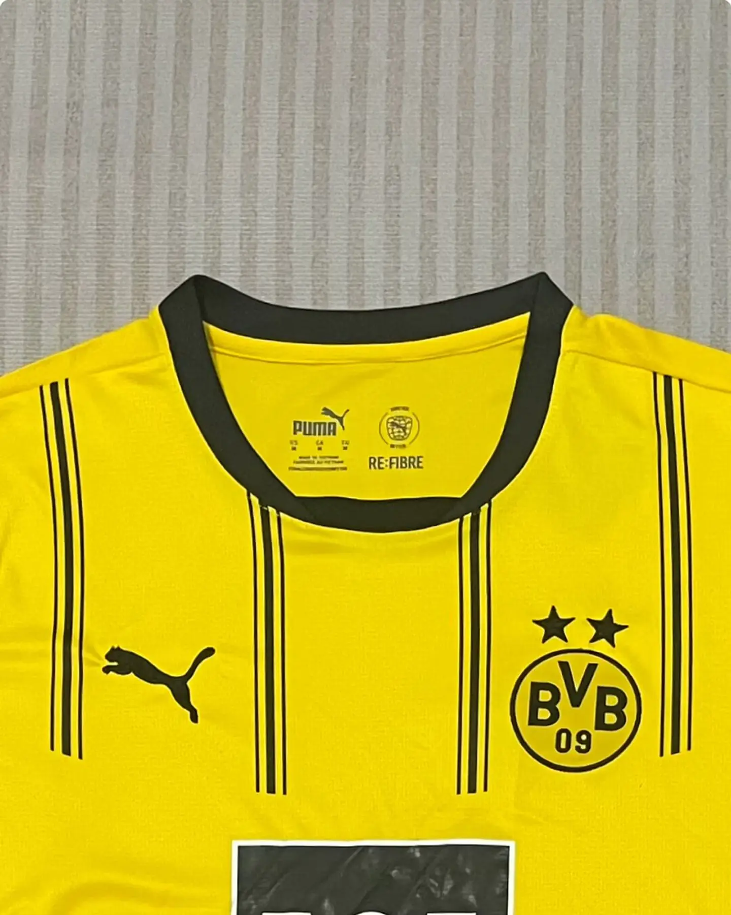 Camisola Borussia Dortmund 24/25 2