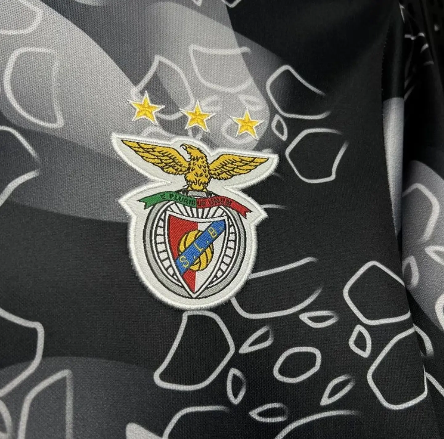 Camisola SL Benfica 24/25 - Pré-jogo 2