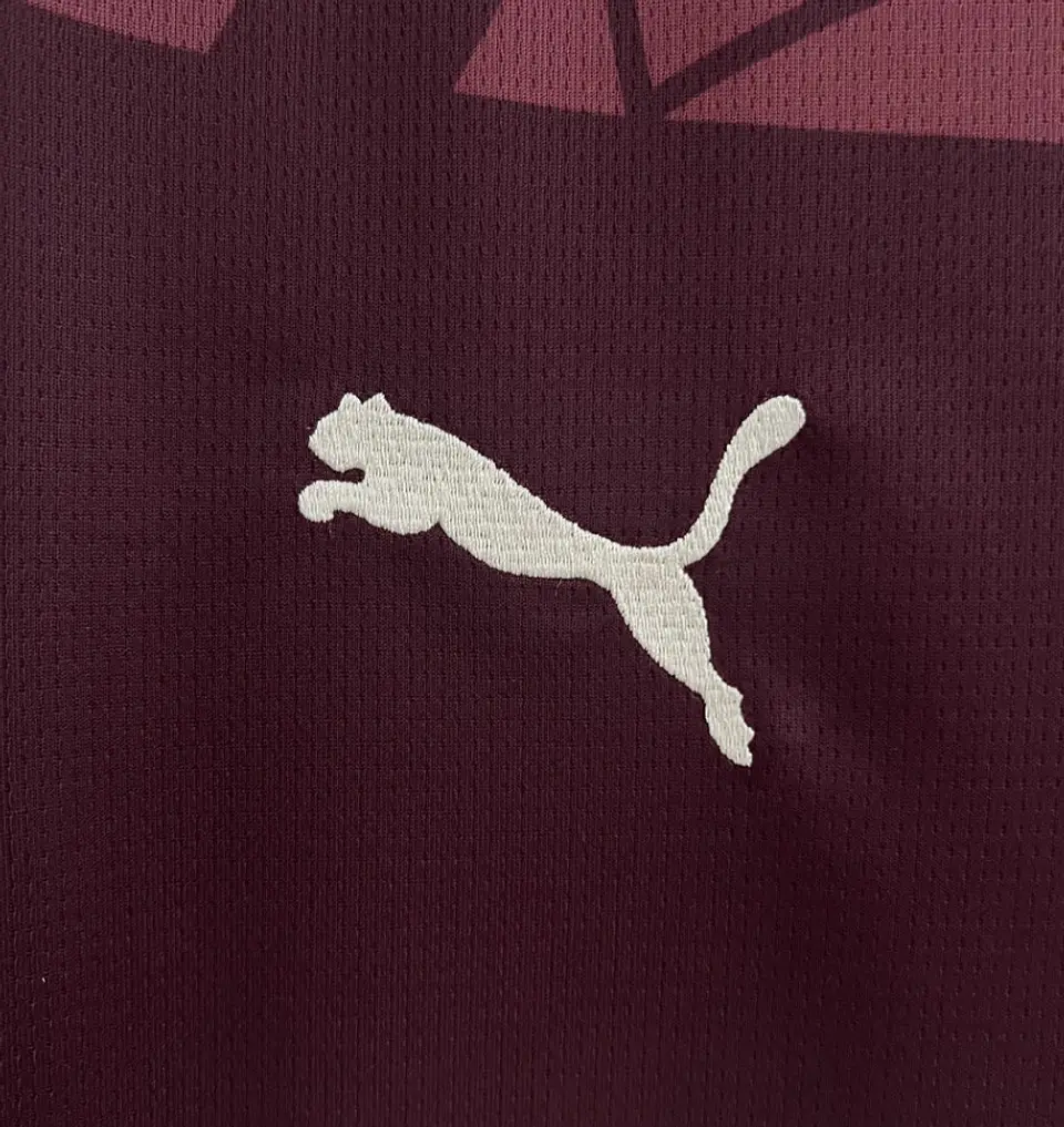Camisola Manchester City III 24/25 3