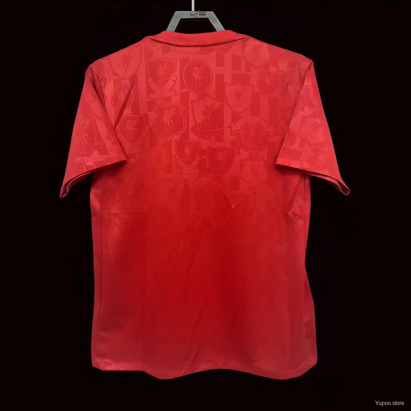Camisola Liverpool Pré Jogo 24/25 2
