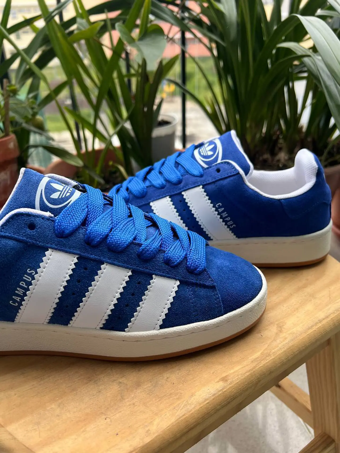 Sapatilhas Adidas Campus 3