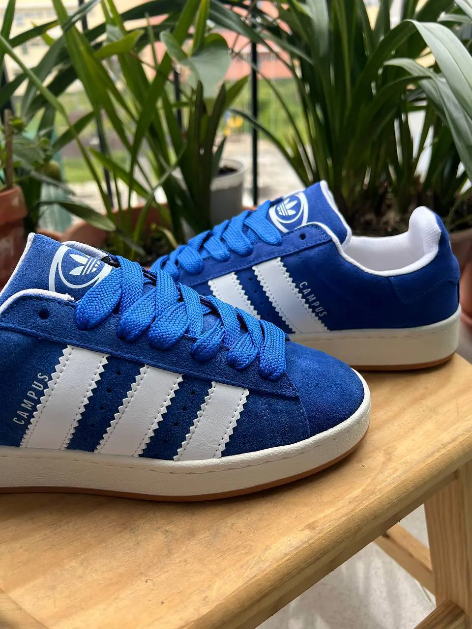 Sapatilhas Adidas Campus 3