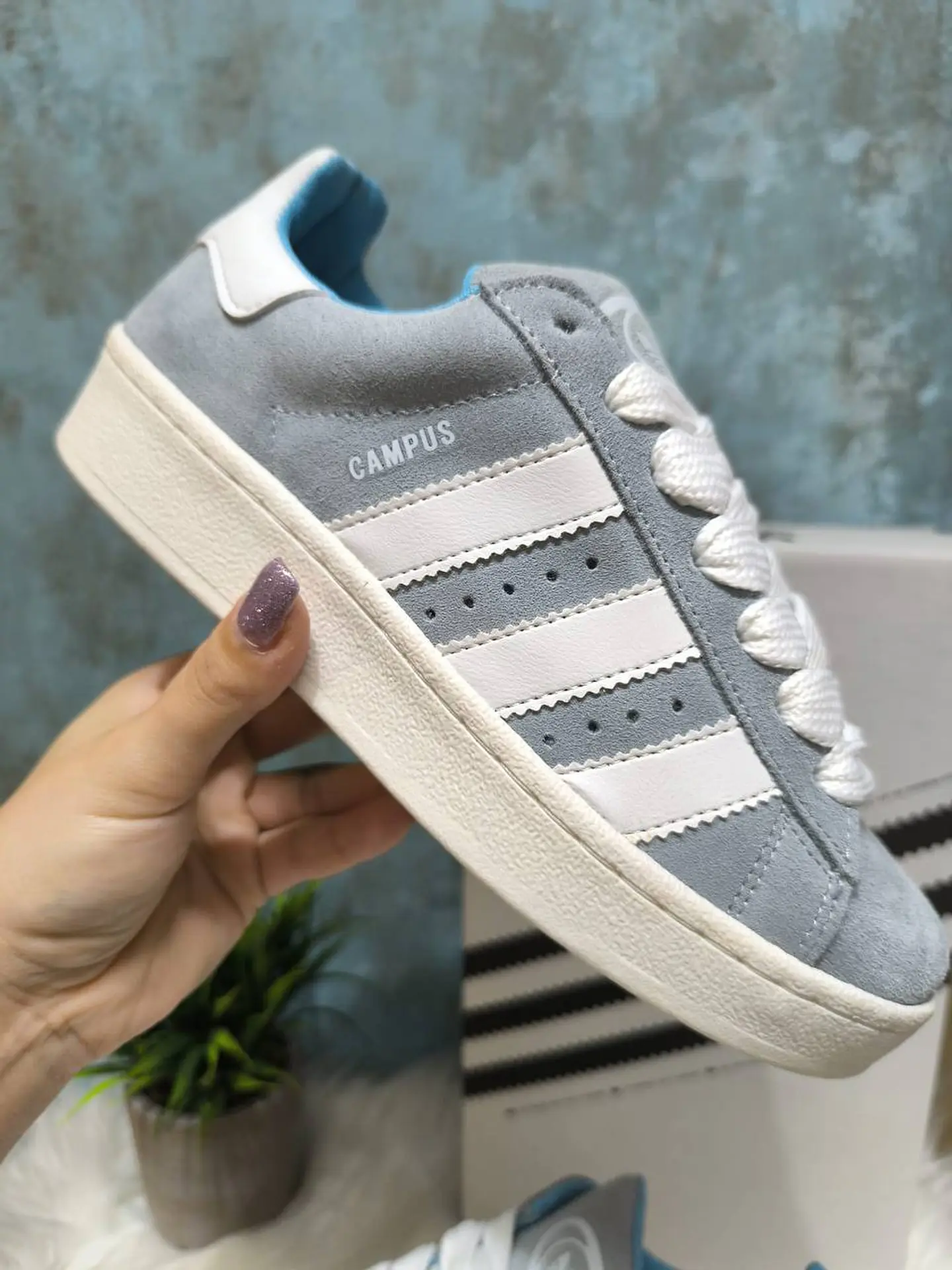 Sapatilhas Adidas Campus 7