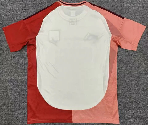 Camisola Lyon III 24/25