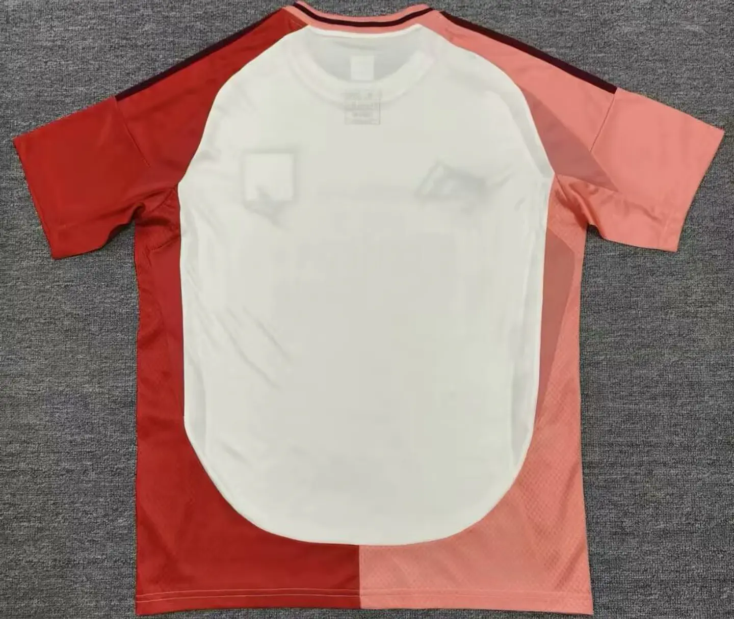 Camisola Lyon III 24/25 2