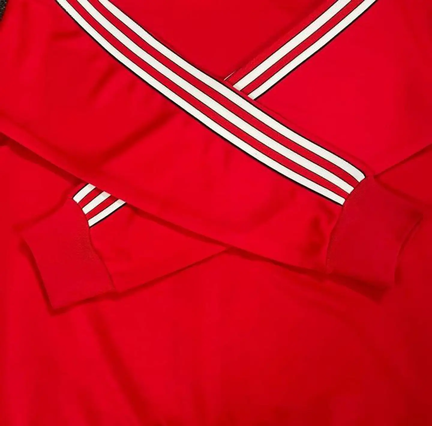 Fato de treino SL Benfica 6