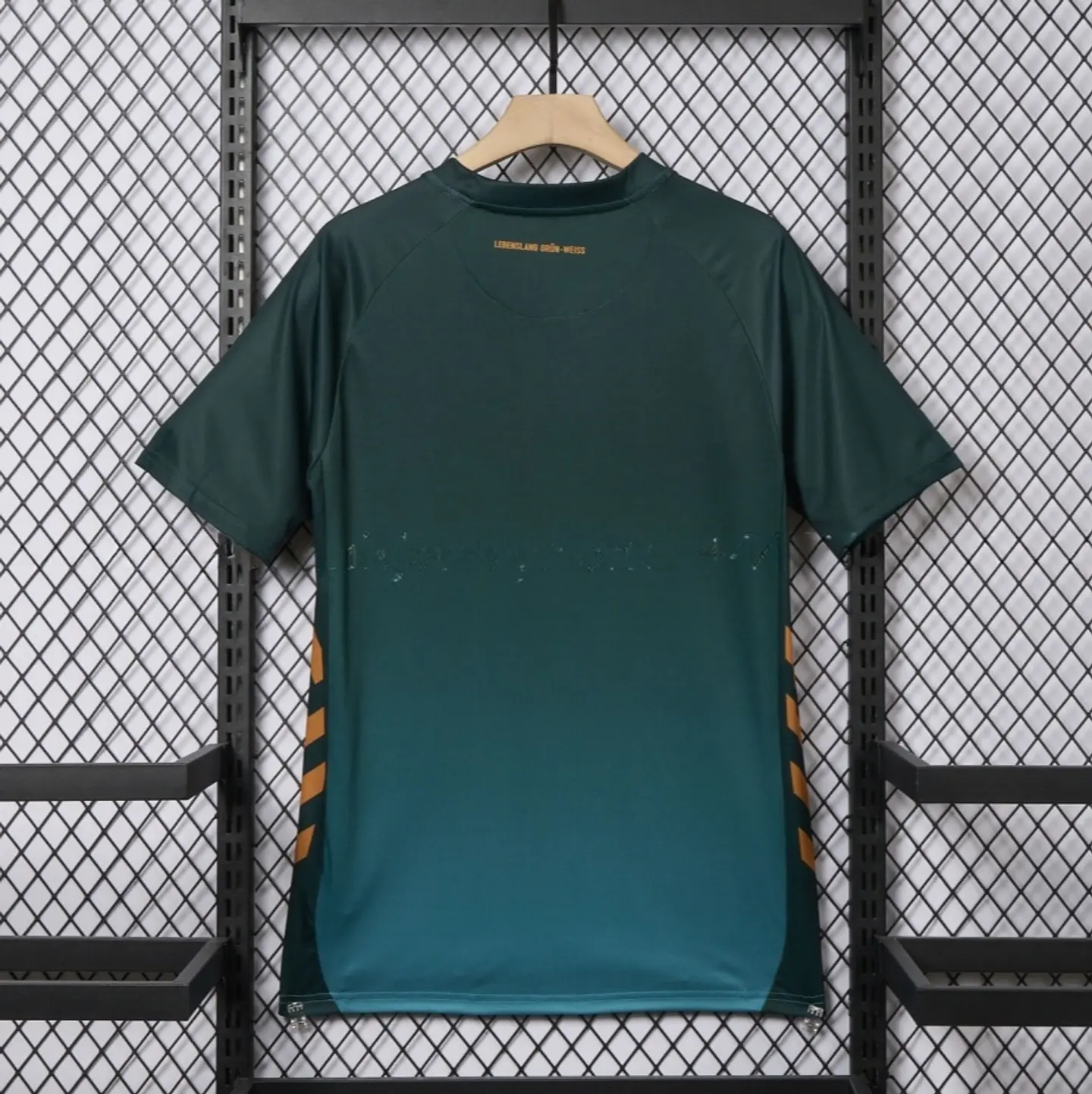 Camisola Werder Bremen III 25/26 2