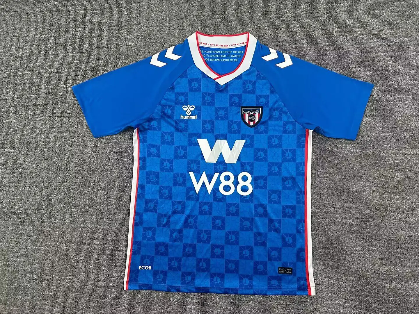 Camisola Sunderland II 25/26 1