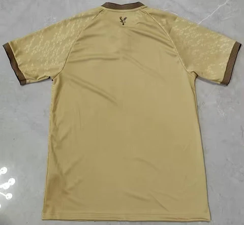Camisola Crystal Palace II 25/26