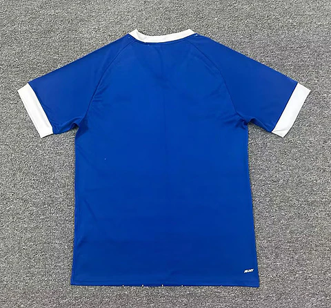 Camisola Cardiff I 25/26