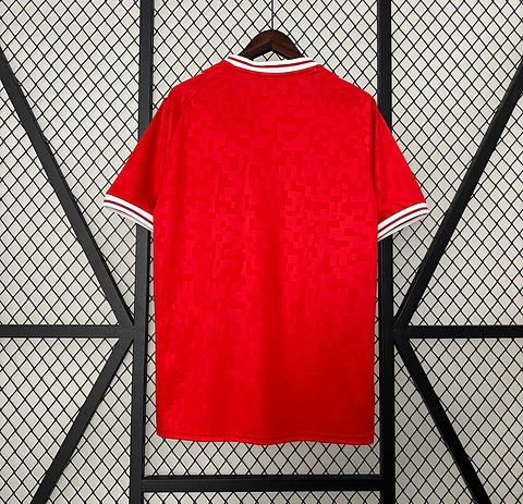 Camisola Dinamarca I 24/25