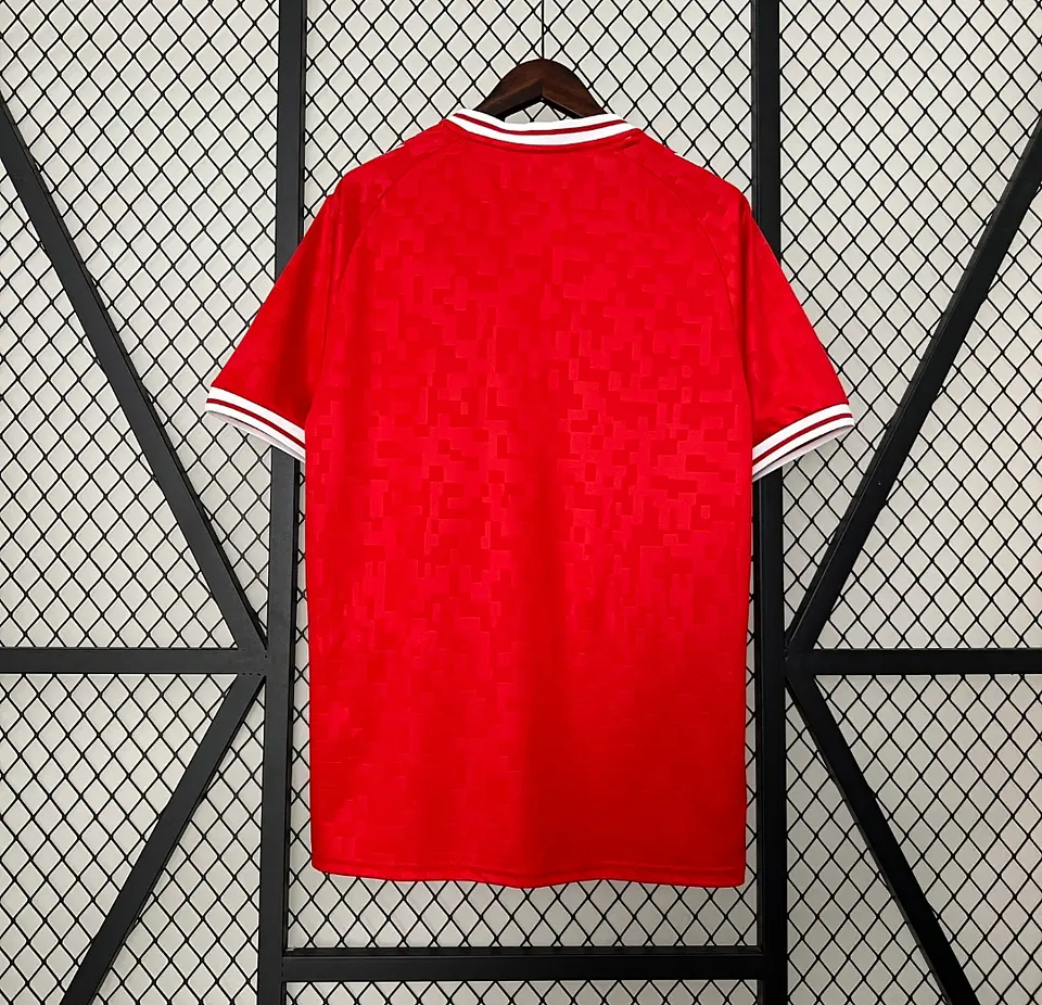Camisola Dinamarca I 24/25 2