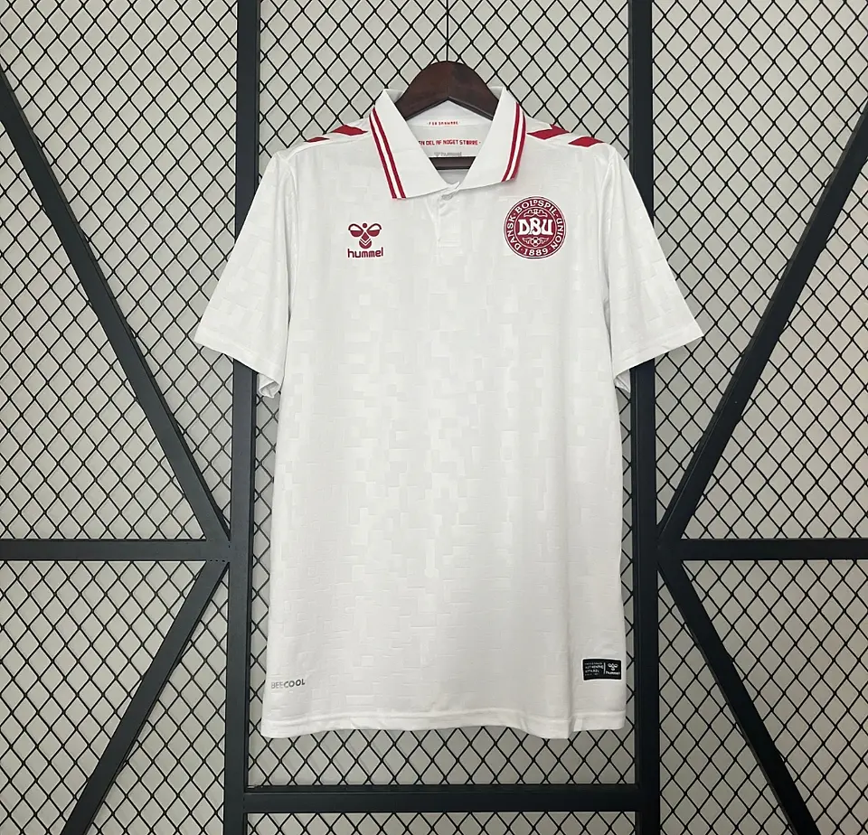 Camisola Dinamarca II 24/25 1