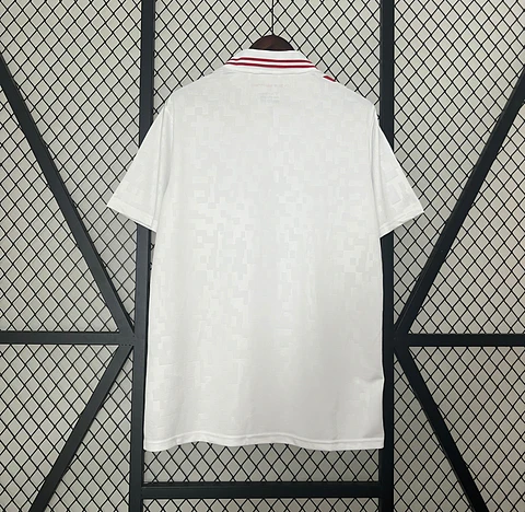 Camisola Dinamarca II 24/25