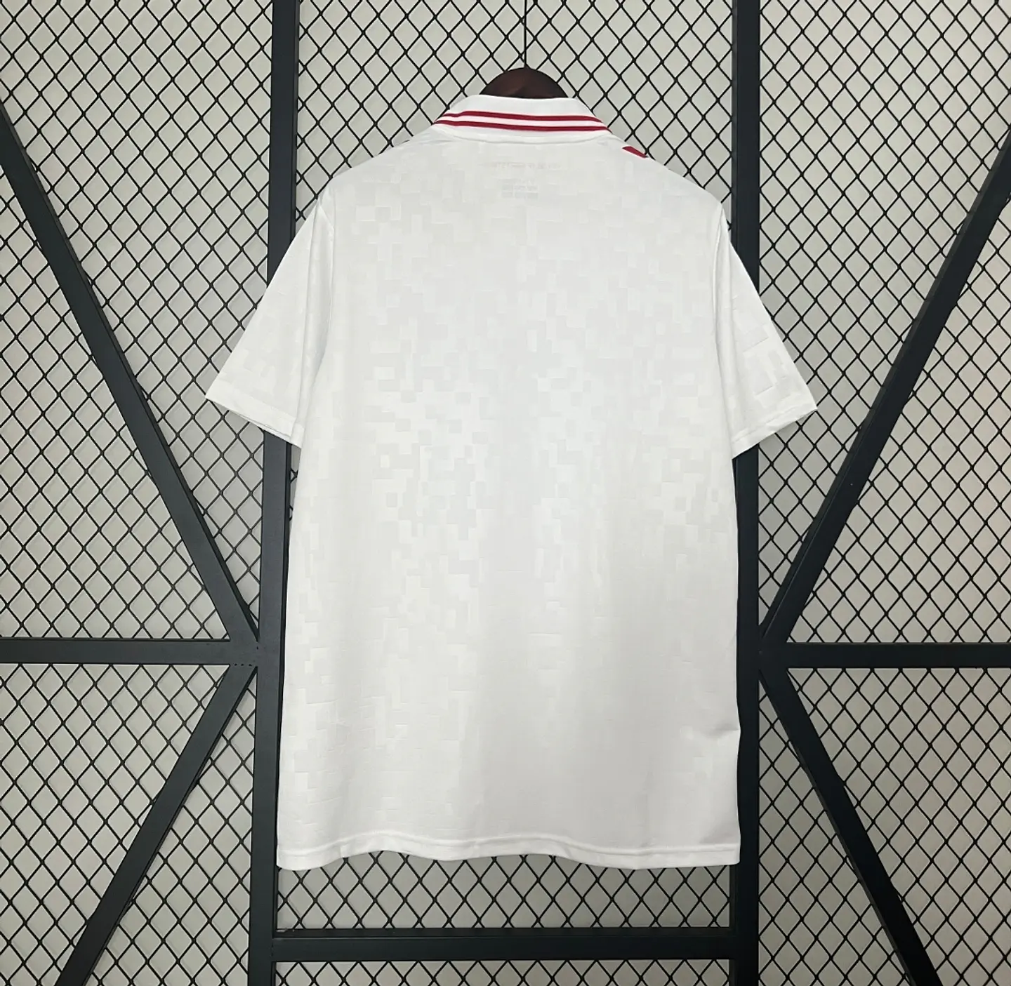 Camisola Dinamarca II 24/25 2