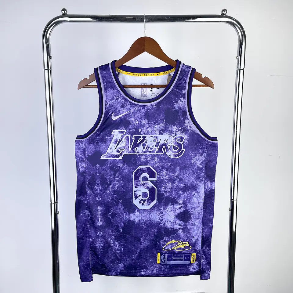 Camisola Lakers 2023 - Honor Edition - James N°6 1