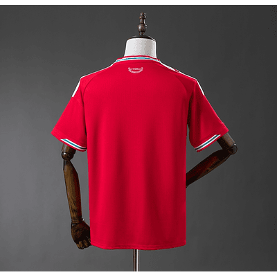 Camisola País de Gales I 2026