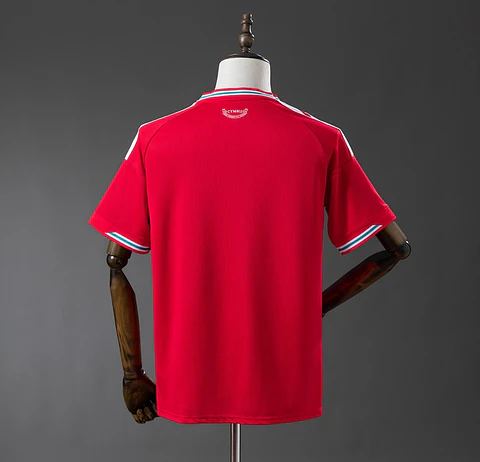 Camisola País de Gales I 2026