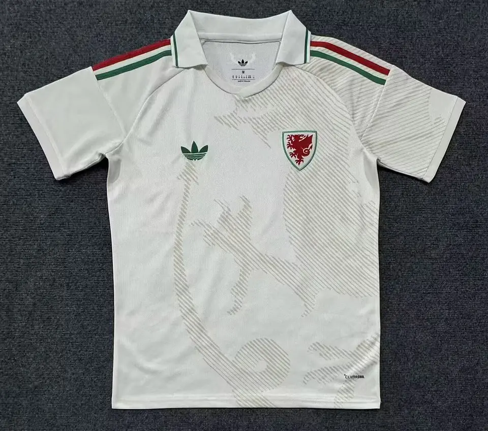 Camisola País de Gales II 2026 1