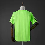 Camisola Celtic - Edição Especial